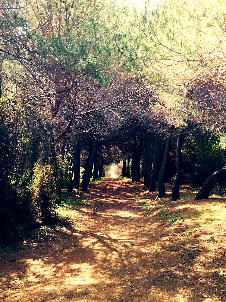 gayreise_ile_stemaguerite