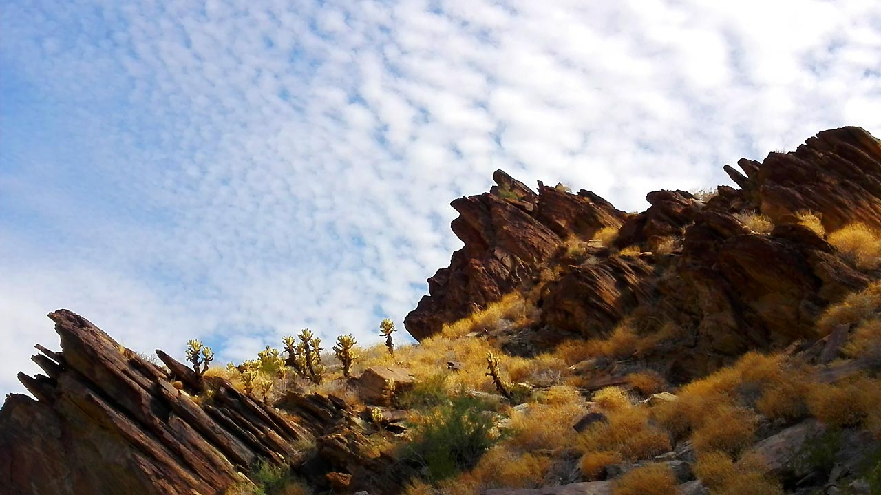 palmsprings-urlaub-fuer-gay