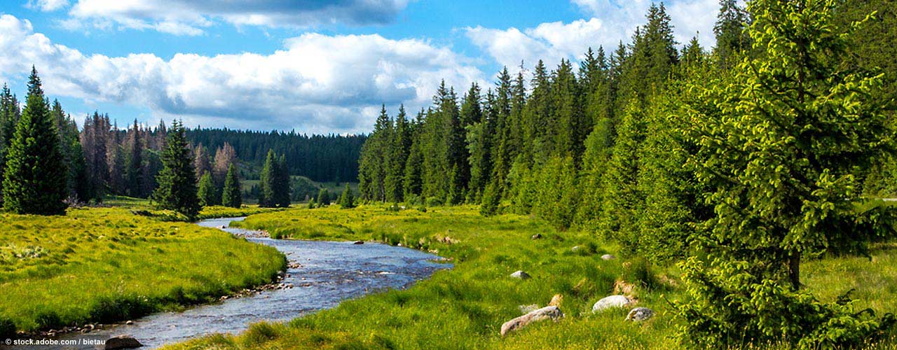bayerischerwald-kerlereisen