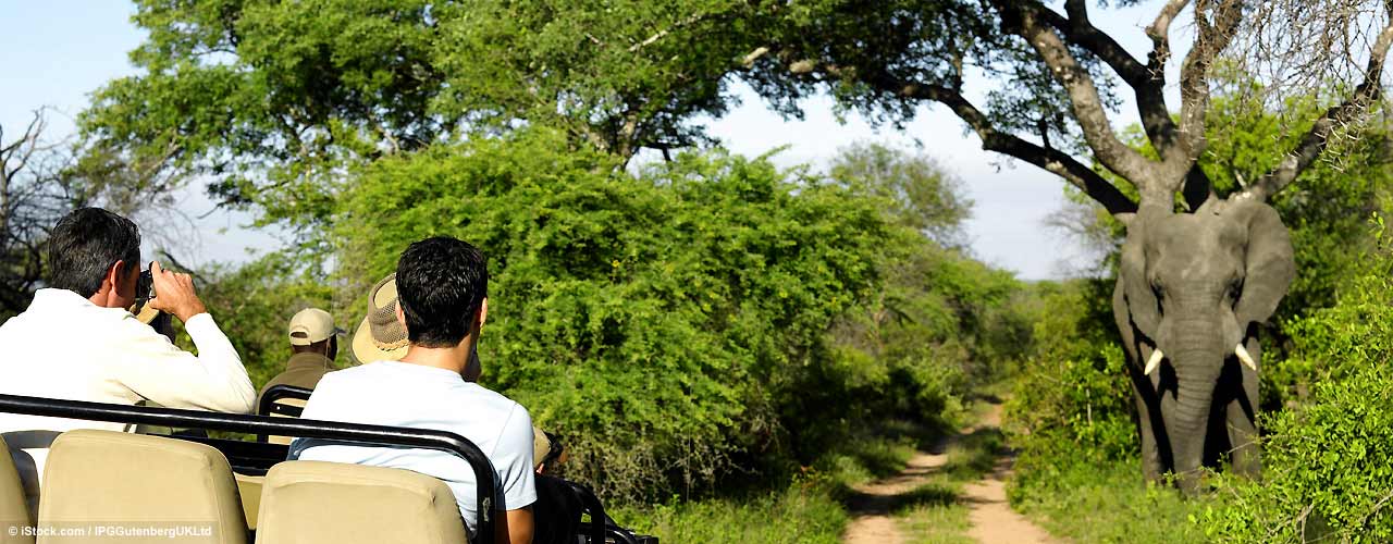 gays_safari_suedafrika