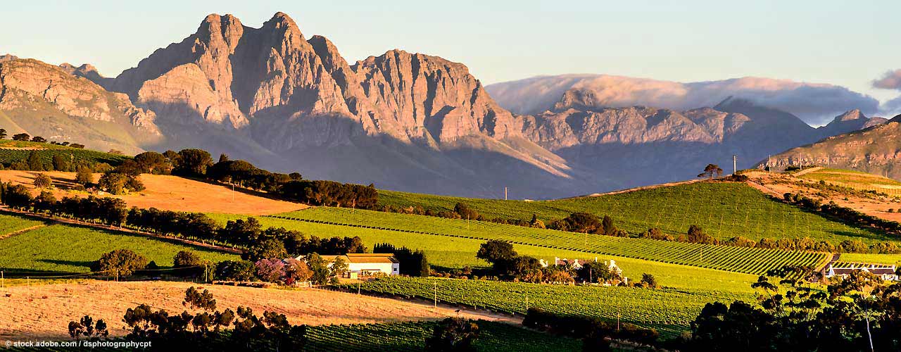 winelands2(1)