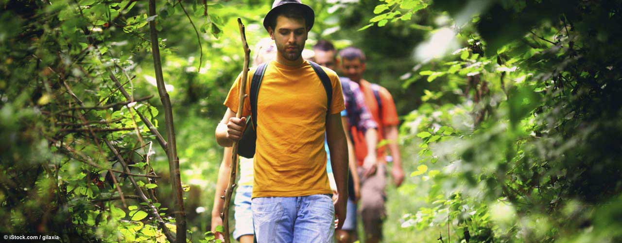 gays_wanderung_wald